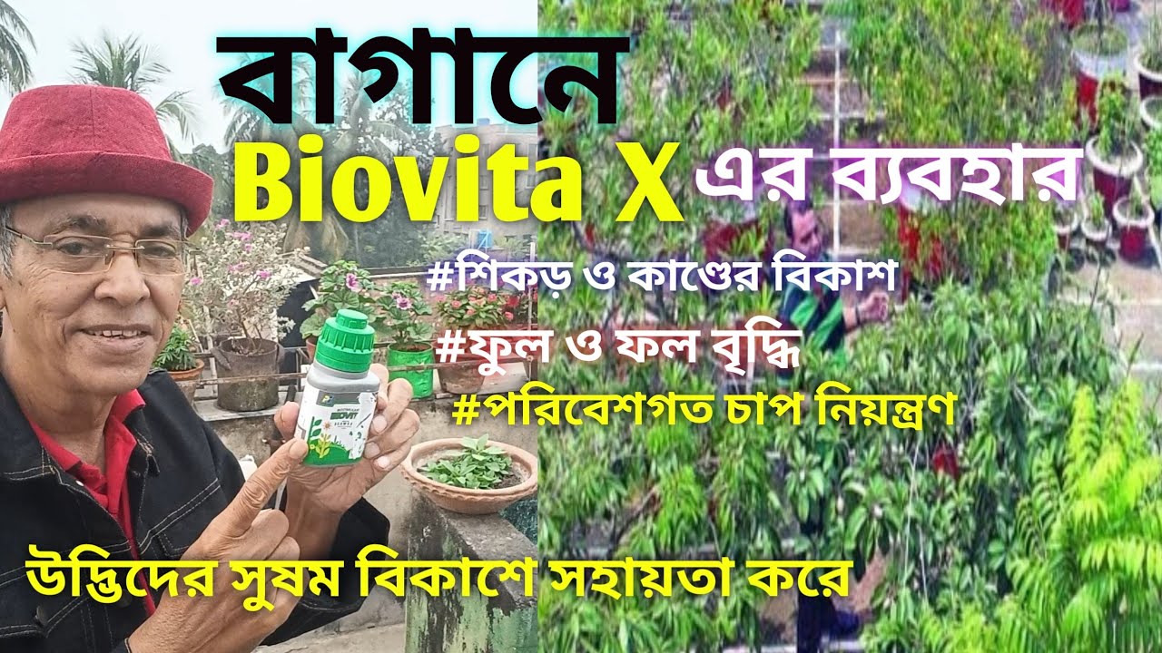 How to use Biovita X/সঠিক প্রয়োগ /সাম্যদ্রিক শৈবাল /অণু-পুষ্টি উপাদান