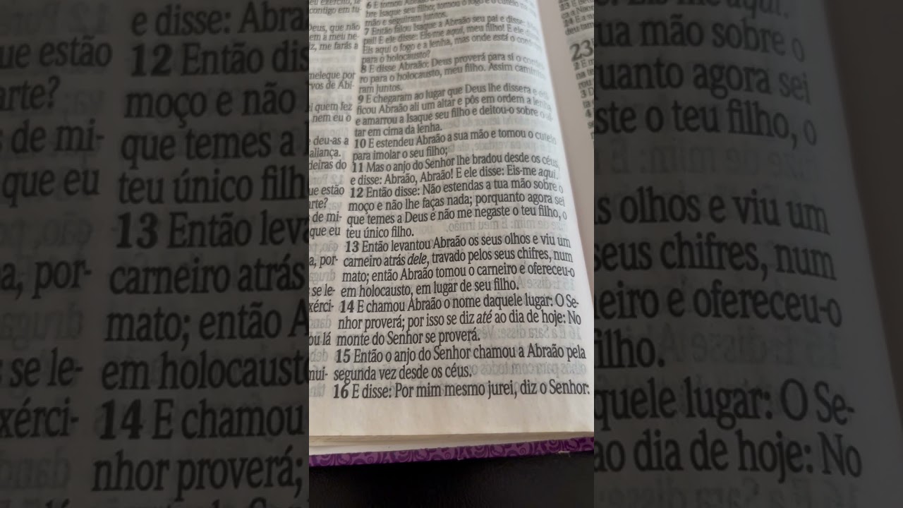 NÃO SE PREOCUPE DEUS PROVERÁ #gratidão #providênciadivina 🔥🔥🔥