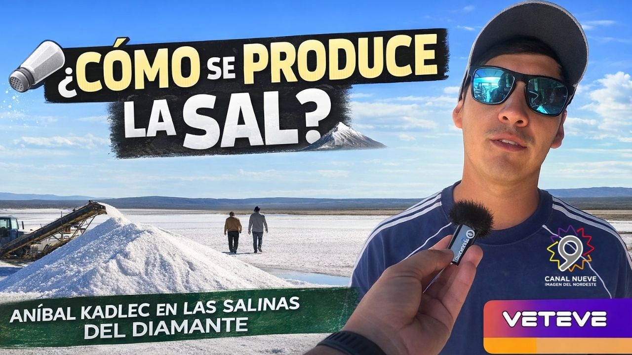 🧂🏔️ ¿Sabías cómo se produce la sal que llega a tu mesa? | VETEVE - CANAL 9