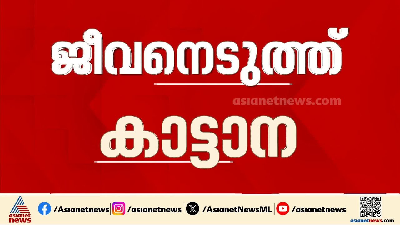 വയനാട്ടിൽ വീണ്ടും കാട്ടാന ആക്രമണം; വയോധികയ്ക്ക് ദാരുണാന്ത്യം | Wayanad | Wild elephant attack
