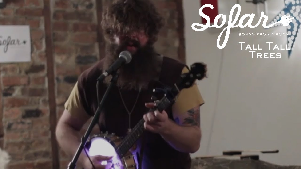 Tall Tall Trees - Highwire | Sofar NYC