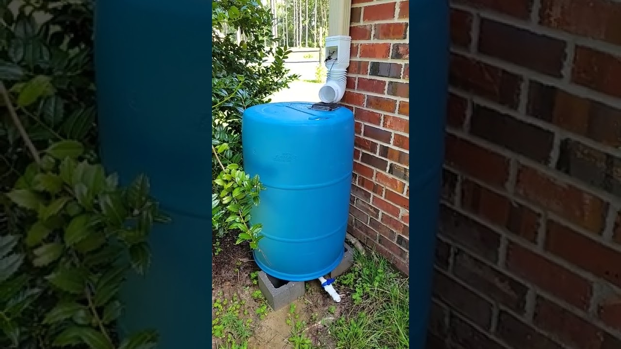 Simple and Cheap Rain Water Barrel System