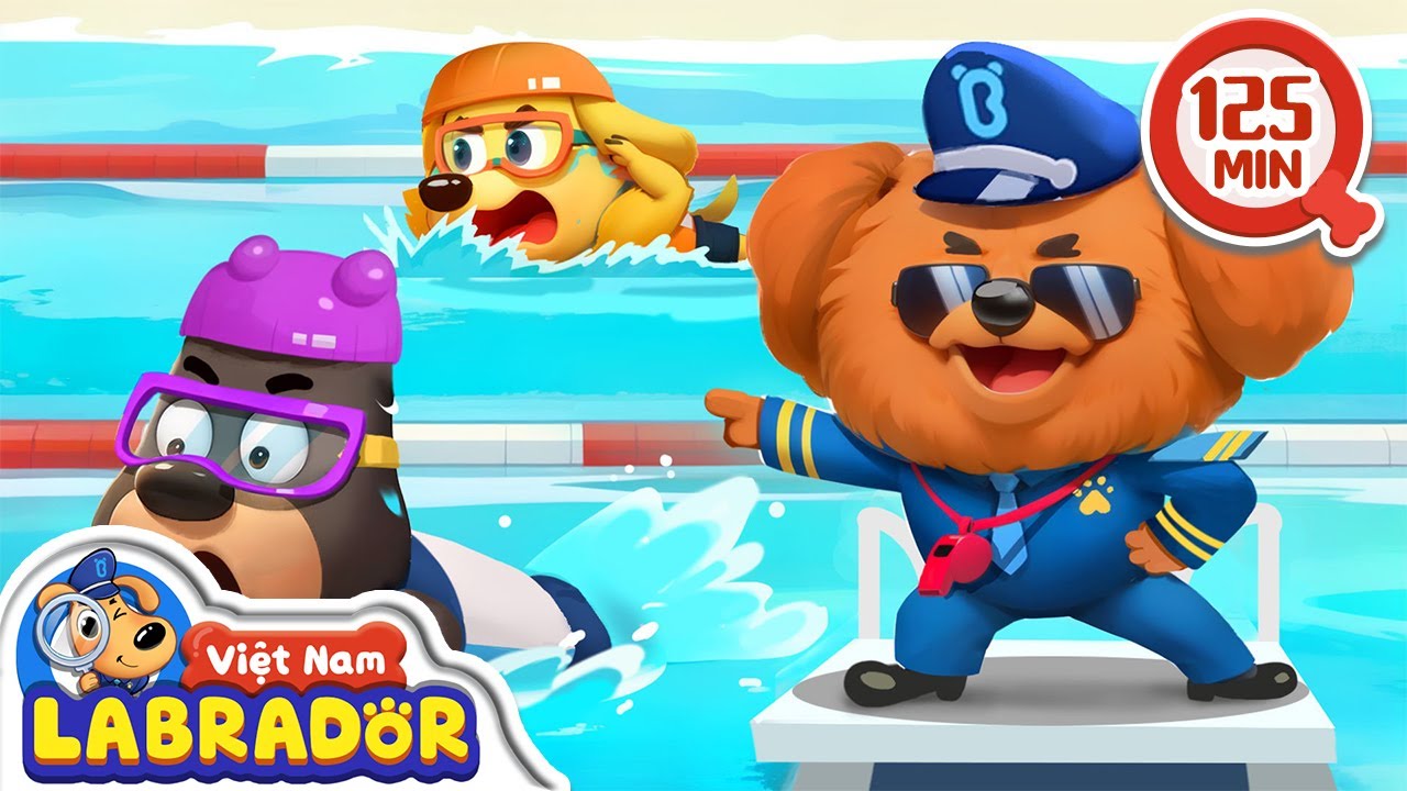 🏊🏻‍♂️ Cảnh sát trưởng Labrador học bơi an toàn 👮 Cảnh sát trưởng Labrador Vietnam 🚔