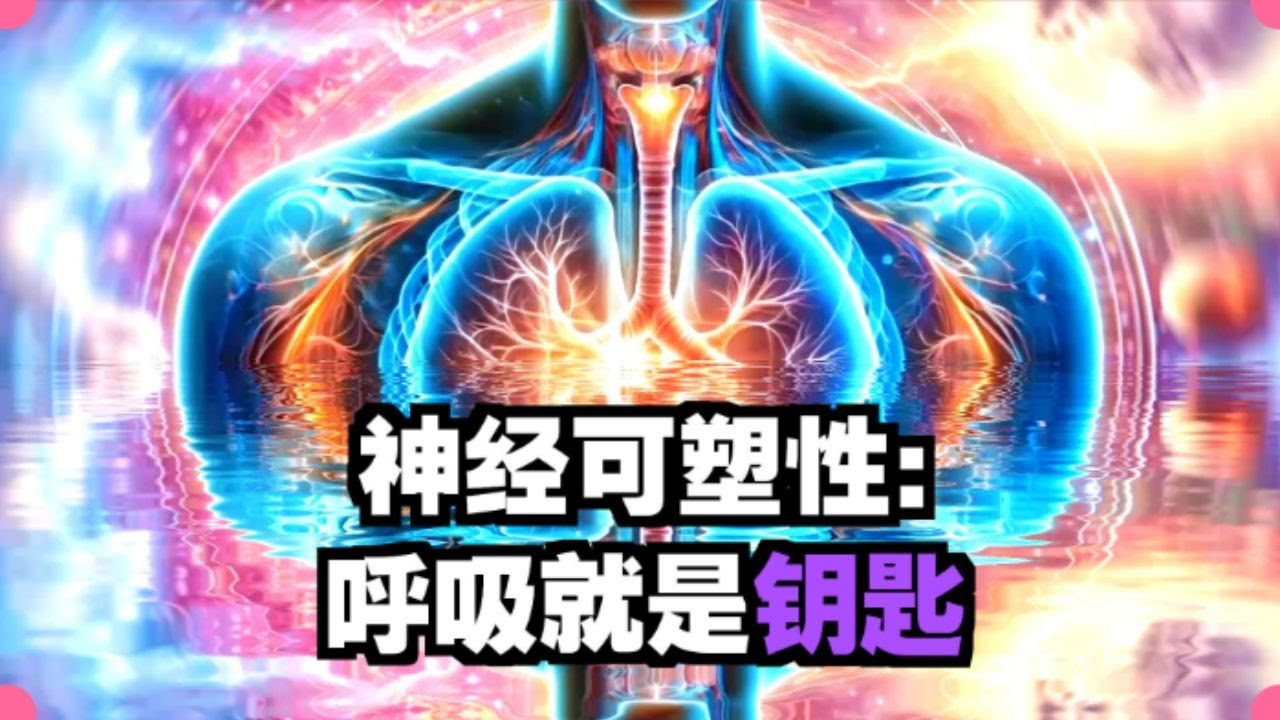 4 步呼吸法，让你的大脑真实重塑！斯坦福研究证实的显化捷径