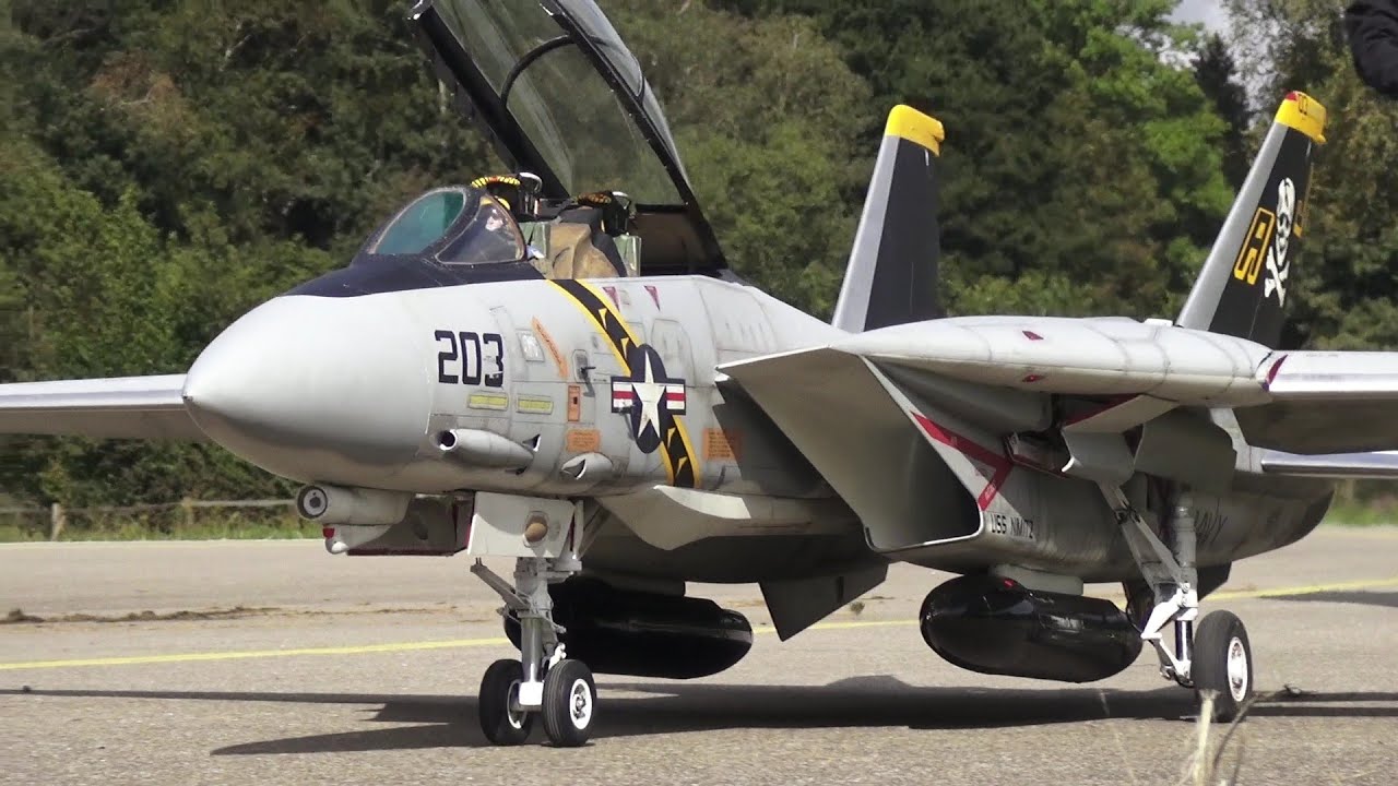 Best Remote control Fighter Jet TOMCAT F-14 Jolly Rogers