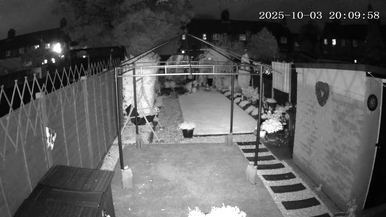 (3/10/2025) 20:06pm HULL (Uk) BYC [0116] ‘STORM AMY’