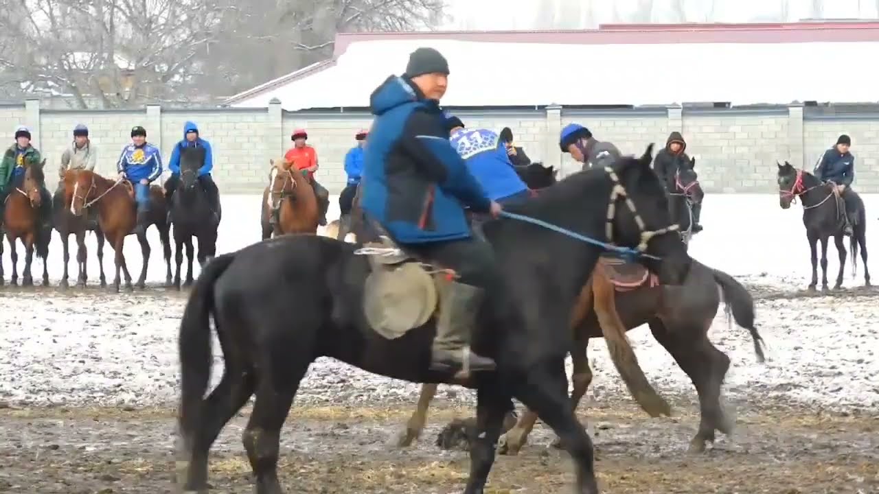 Жерге-талдын жигиттери 