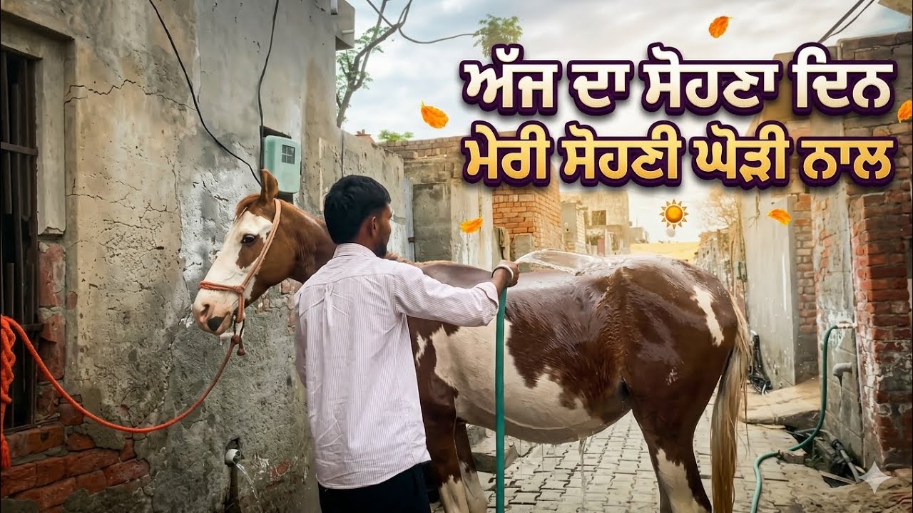 ਅੱਜ ਦਾ ਸਹੋਣਾ ਦਿਨ ਮੇਰੀ ਸੋਹਣੀ ਘੋੜੀ ਨਾਲ਼ 