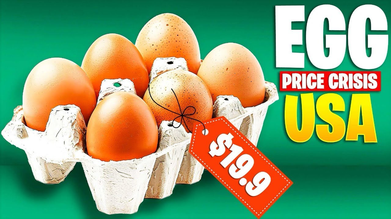 The Great Egg Conspiracy: Is Big Business Behind the Shortage?