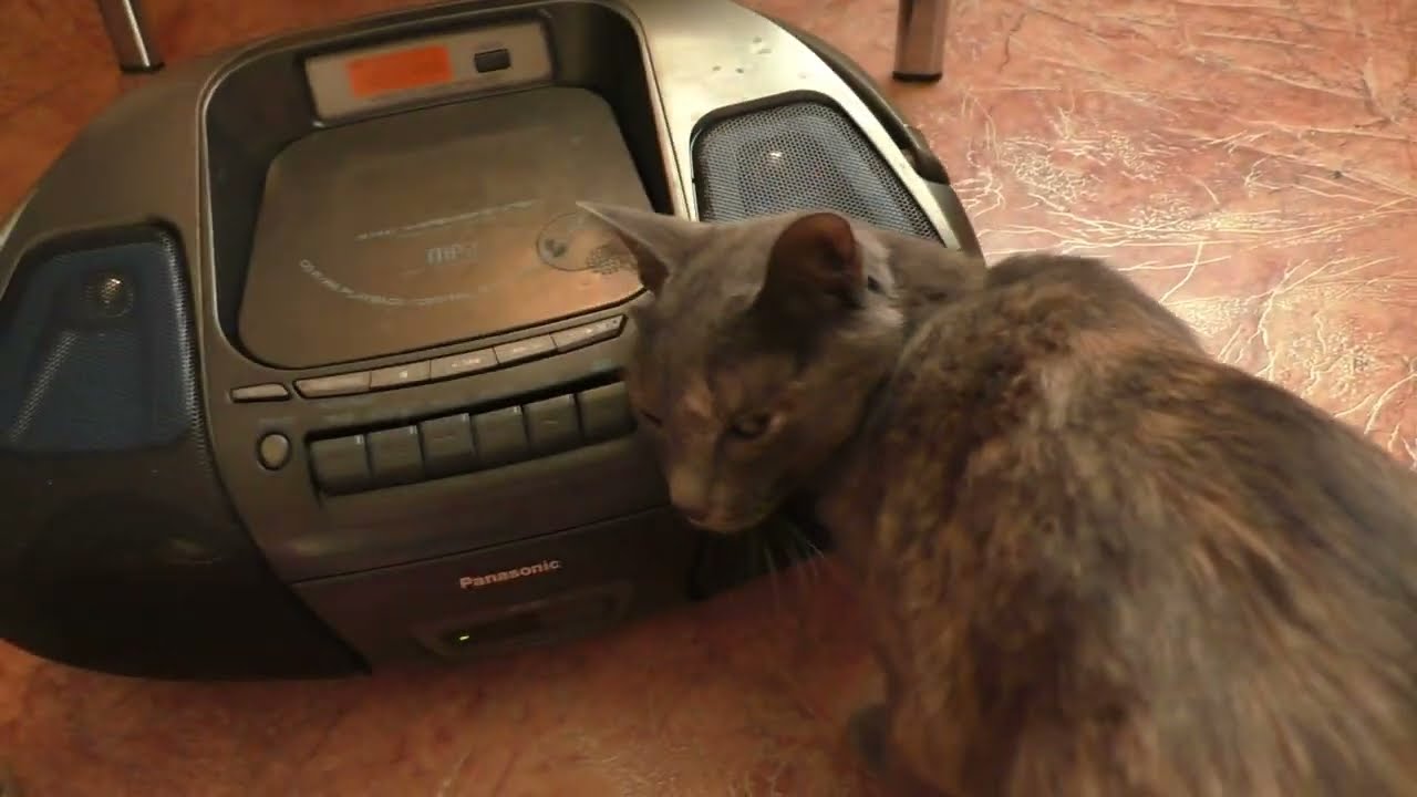 Магнитола Panasonic RX-D29 - Разборка, чистка и тест (Звуки 2000х)