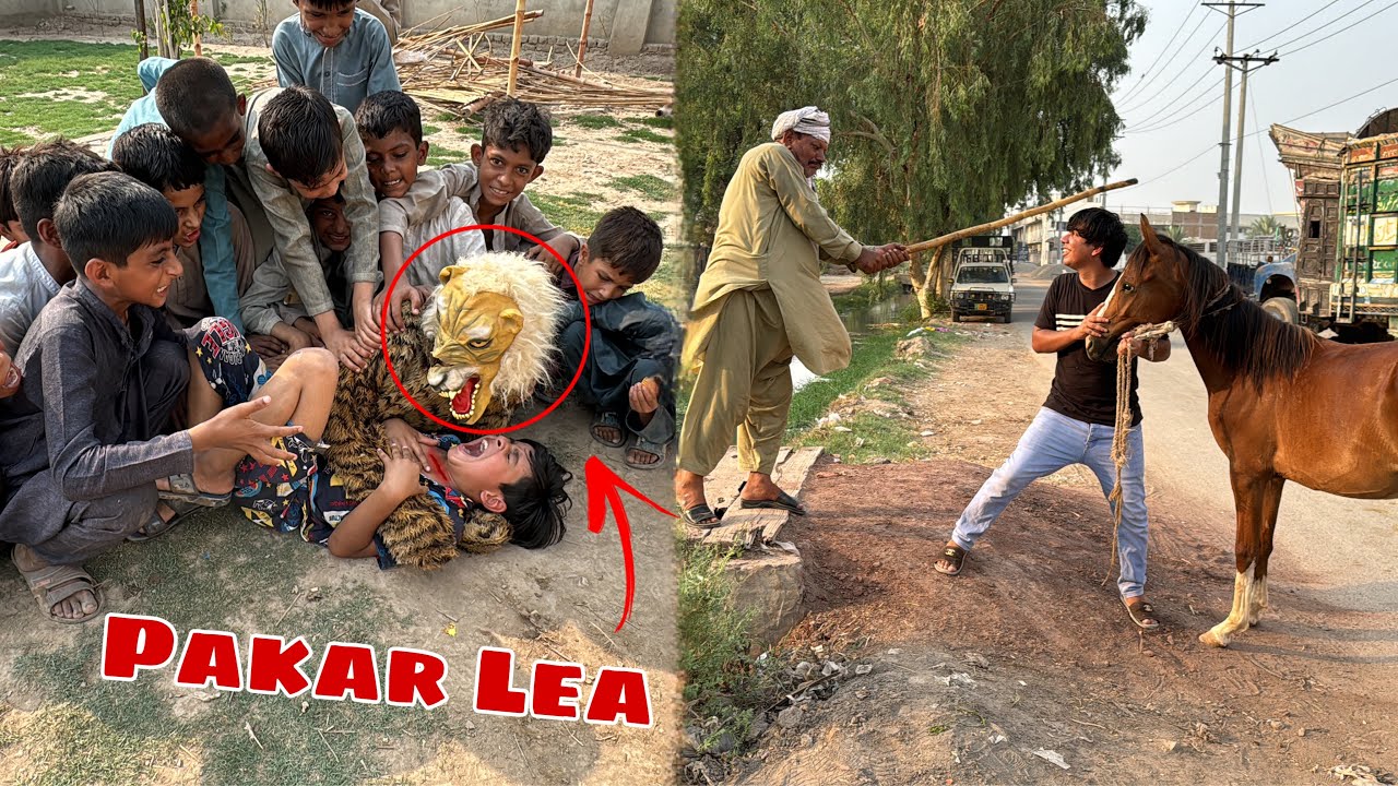 Jungle Janwar Ko Pakar Lea 😰 Dolly Ko Ly Aiy 😃