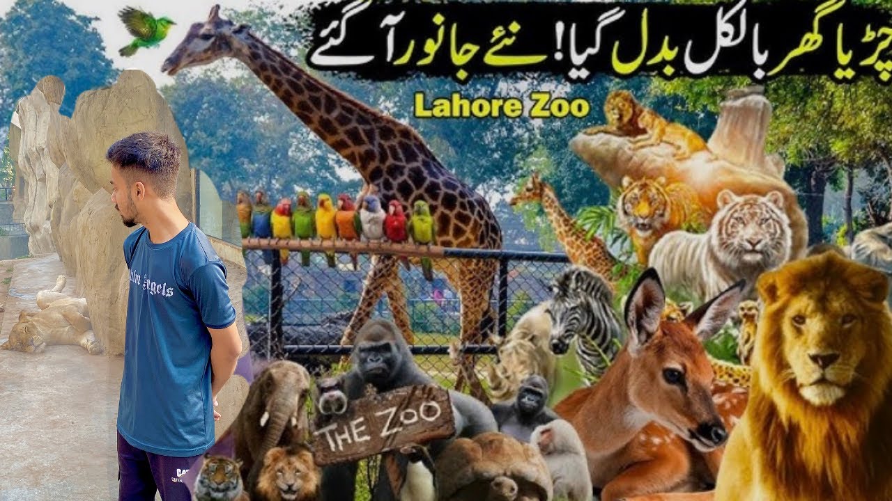 Me and my friend visiting zoo in 18 Ramadan 😅😅😅😅😁😁#viral #vlog #unfrezzmyaccount #foryou #channel 