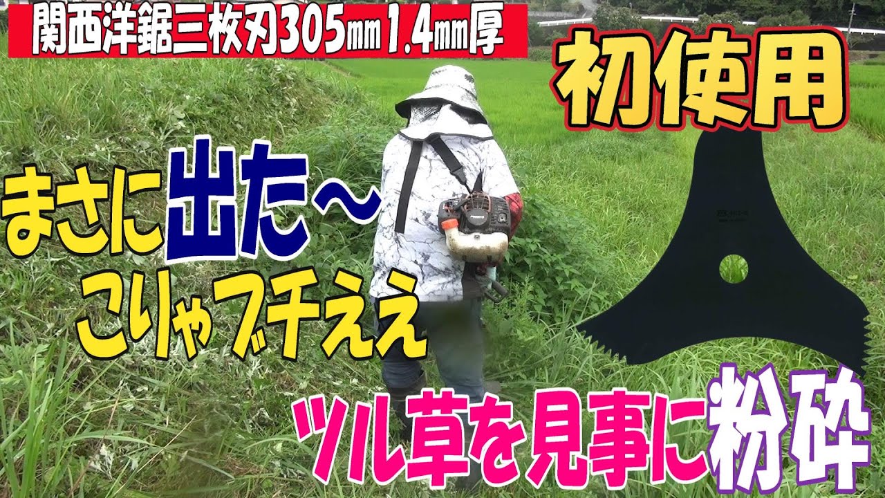 関西洋鋸の三枚刃305㎜1.4㎜厚で伸び放題の草を草刈りです。初使用ですが切れは勿論ですが軽く粉砕もしてくれるので草の山ができにくいのがいい感じですｗ
