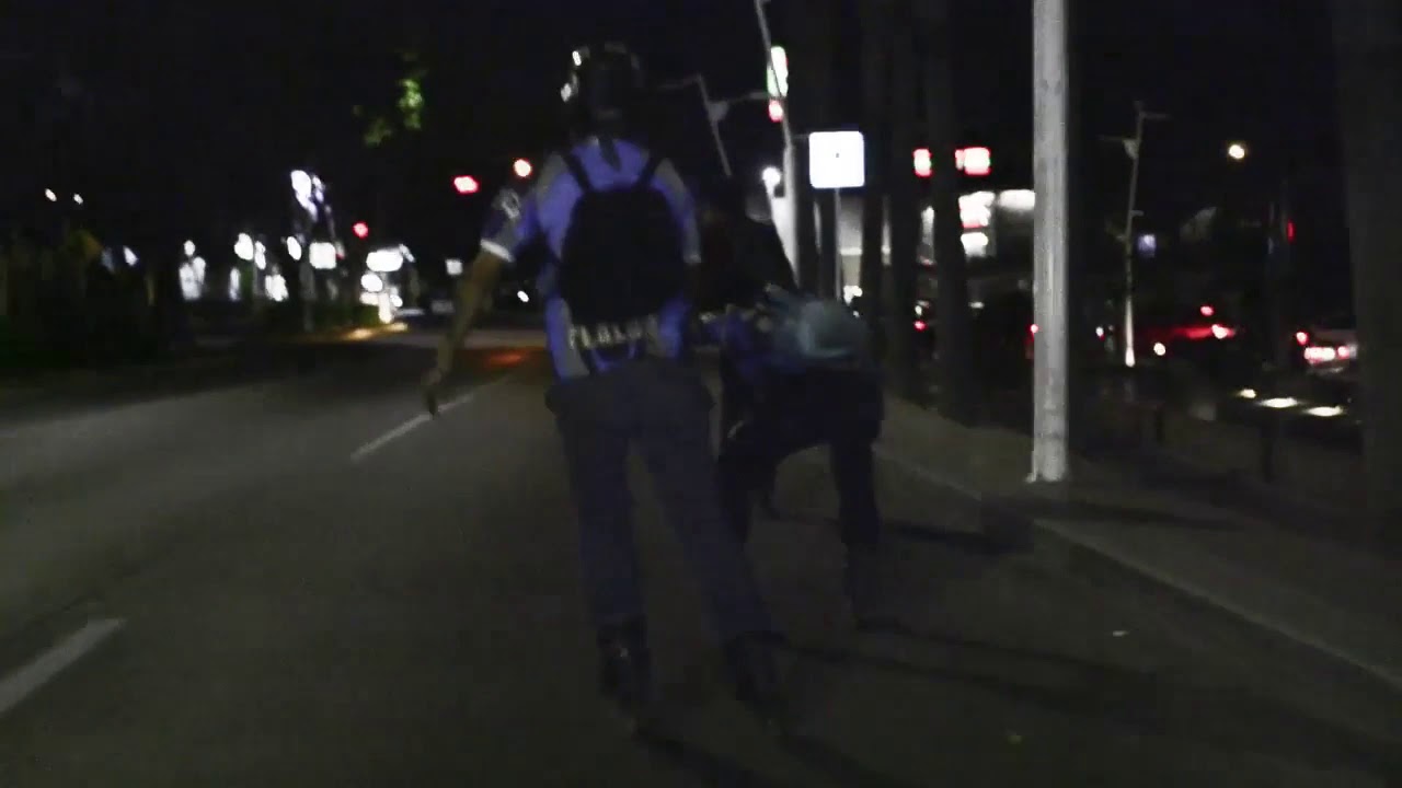Rolleada Nocturna Roller Wolves