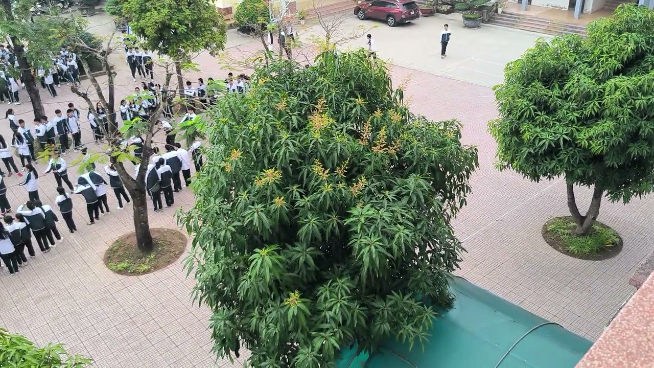 Kéo co 2026 THPT Ngô Quyền Ninh Bình