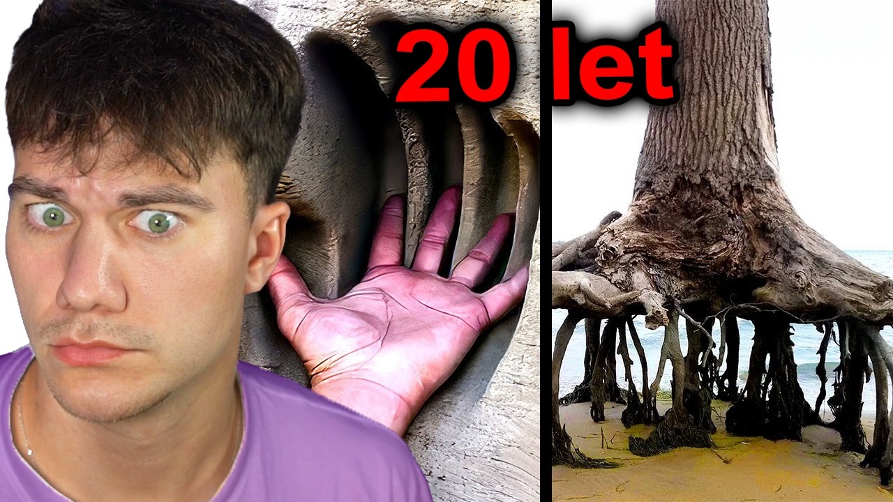 JAK VYPADÁ SKUTEČNÁ SÍLA ČASU?