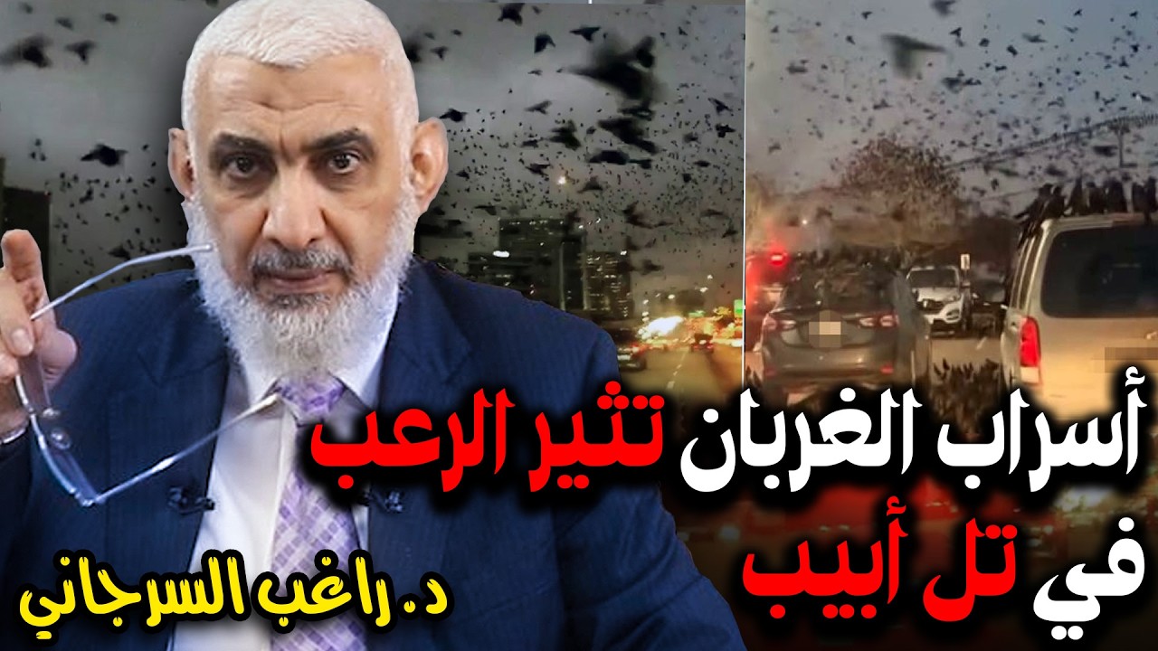 أسراب الغربان تثير الرعب في تل أبيب