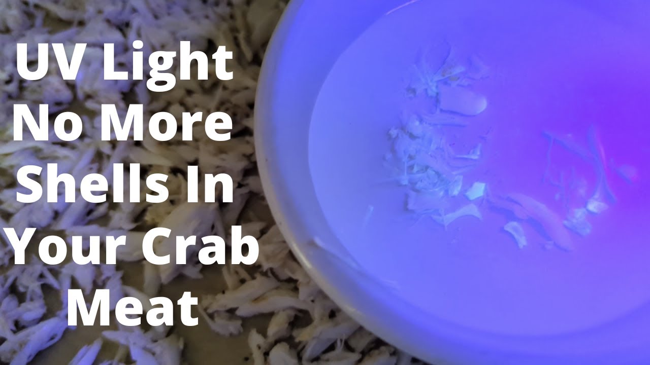 Blue Crab Meat, No More Shells