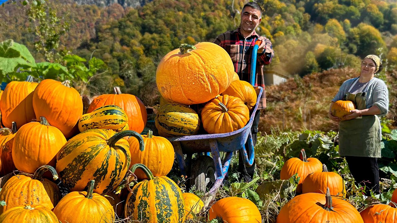 Oriental Dishes from the Autumn Harvest! 40 Minutes of Privacy with Nature