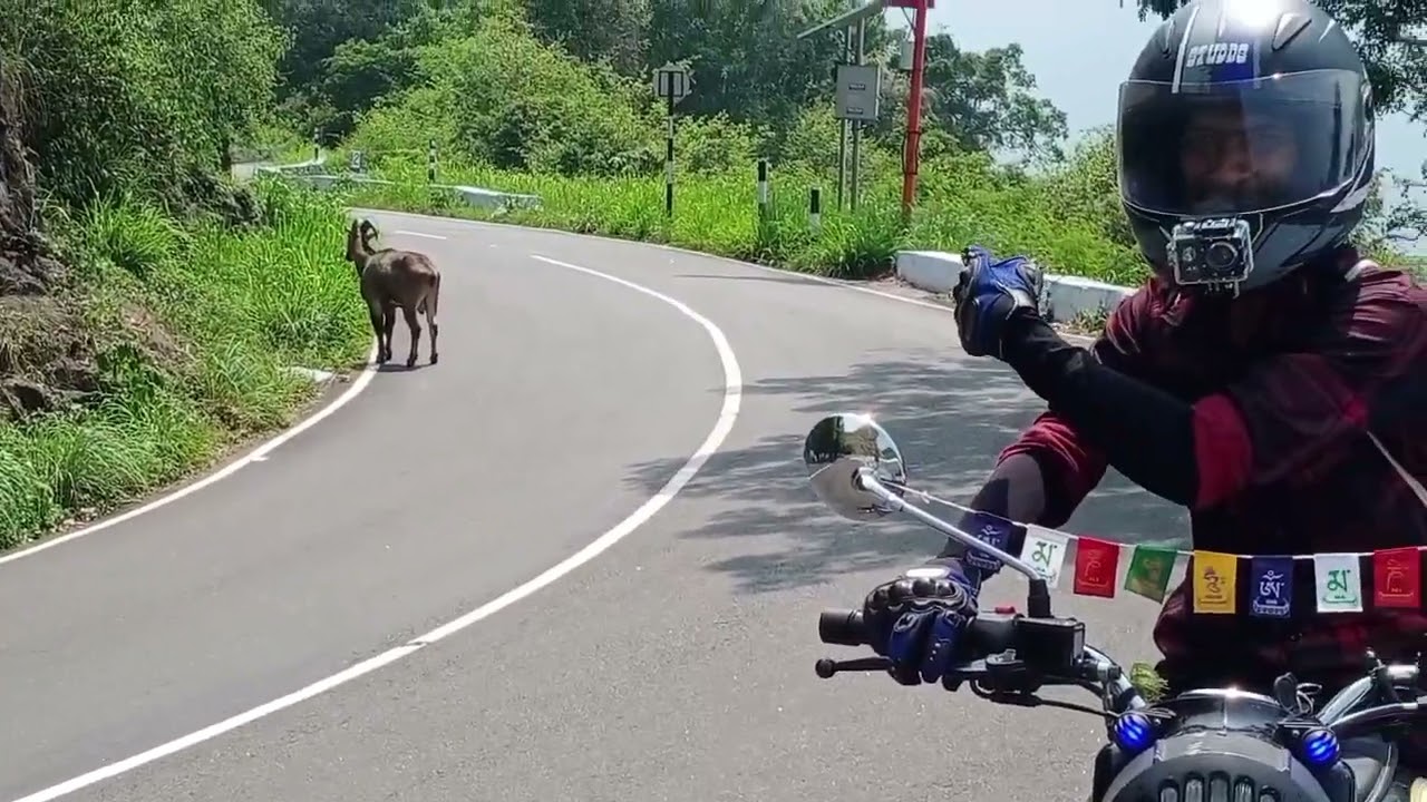 Valparai viewpoint solo ride