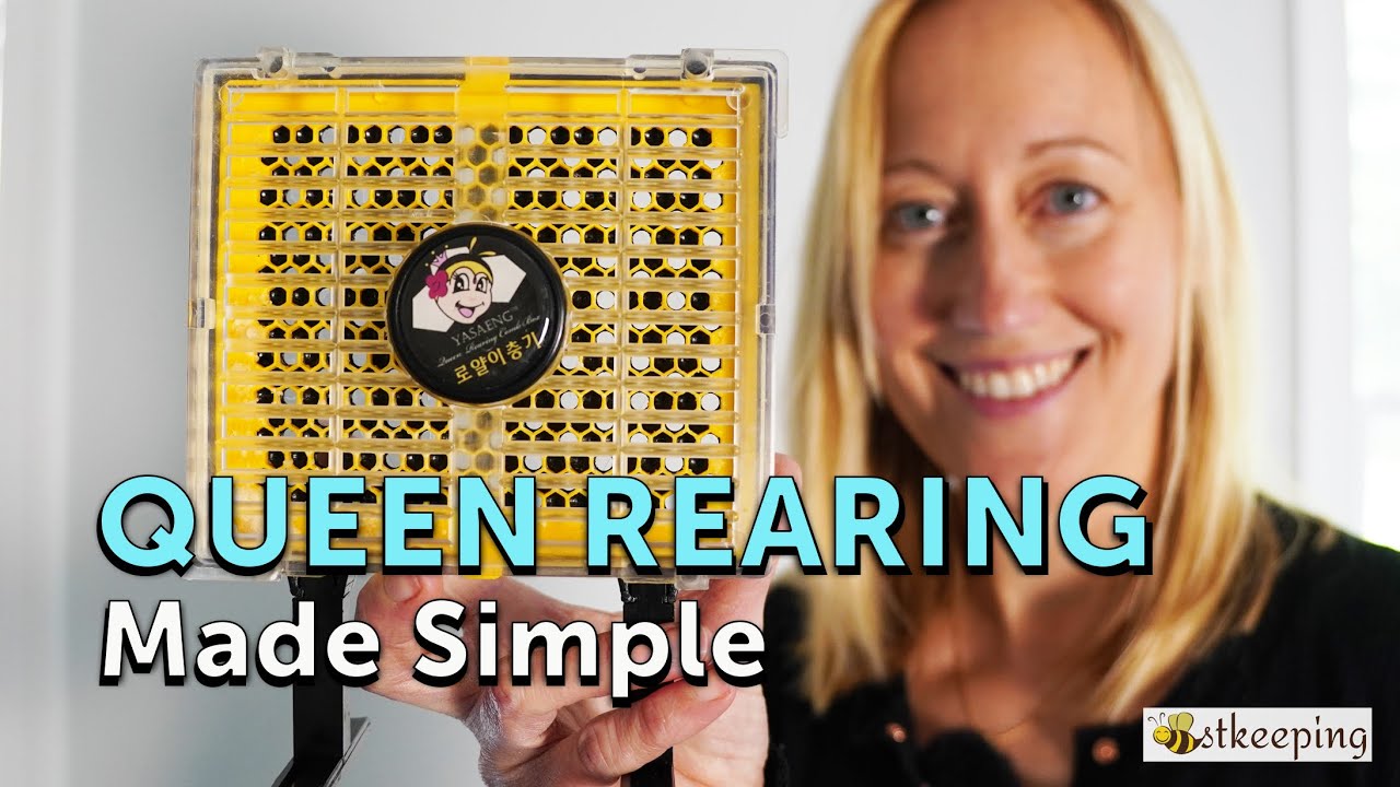 BEESTKEEPING | Royal Queen Rearing & Royal Jelly Kit - REVIEW & HOW IT WORKS