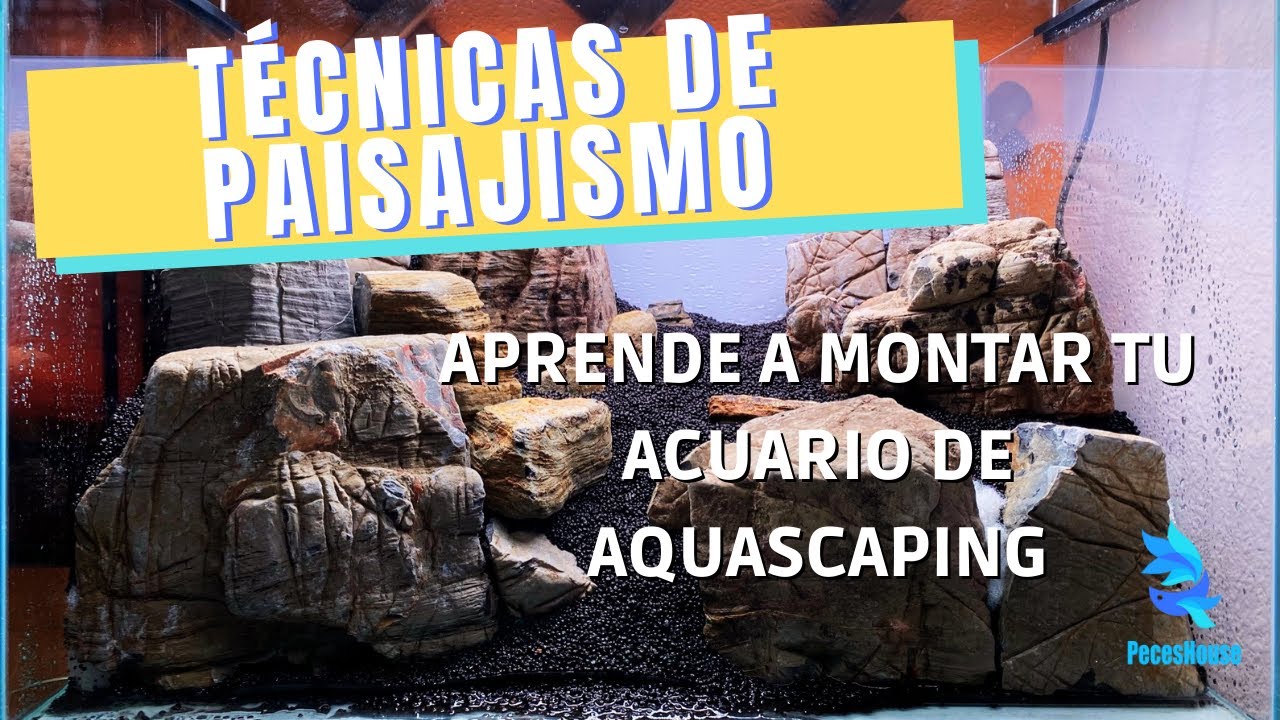 CÓMO MONTAR UN ACUARIO DE PAISAJISMO - TODOS LOS SECRETOS PASO A PASO