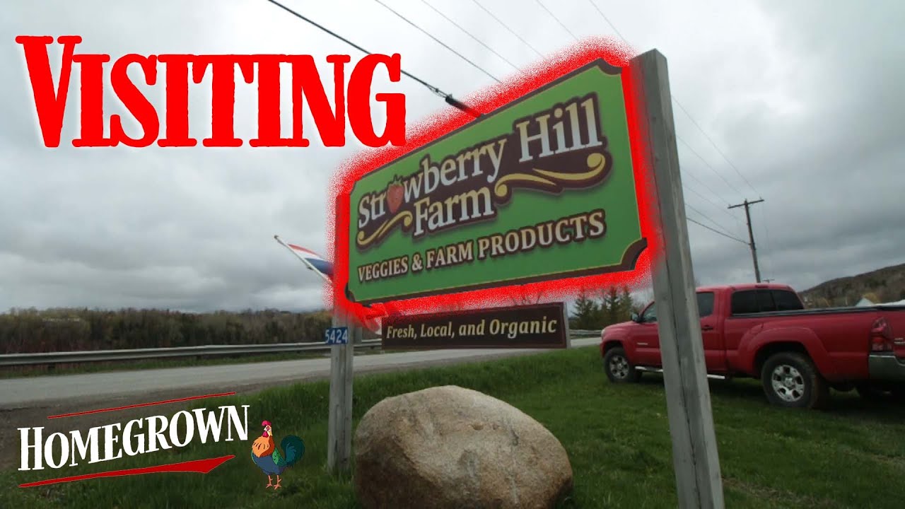 Farm Visits: Strawberry Hill Farm | New Brunswick Homesteading