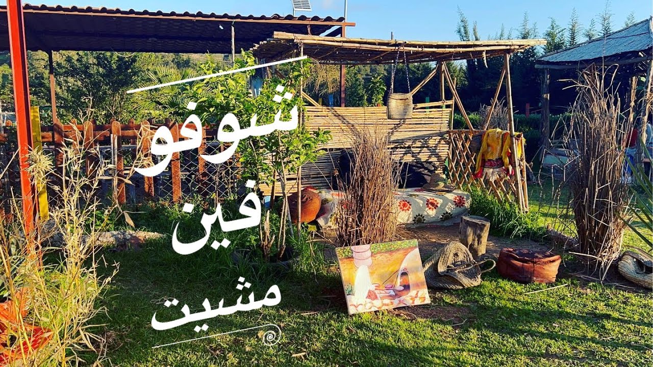 اكتشفت معاكم مزرعة واعرة عند عودتنا من سد اسمير بنواحي تطوان