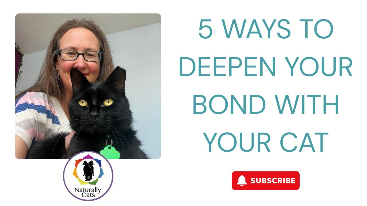 5 Easy Ways to Deepen the Bond with Your Cat: Simple Steps for a Stronger Connection