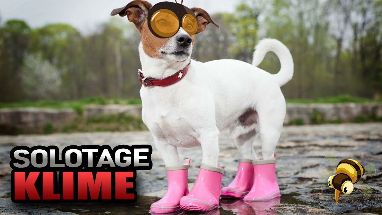 Le KLIME me fait un relooking || Solotage Ouginak