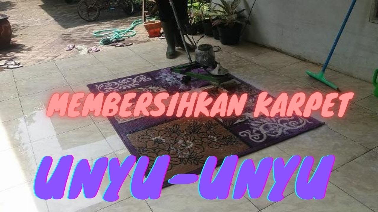 CARA MENCUCI KARPET UNGU DENGAN MESIN SIKAT RAKITAN
