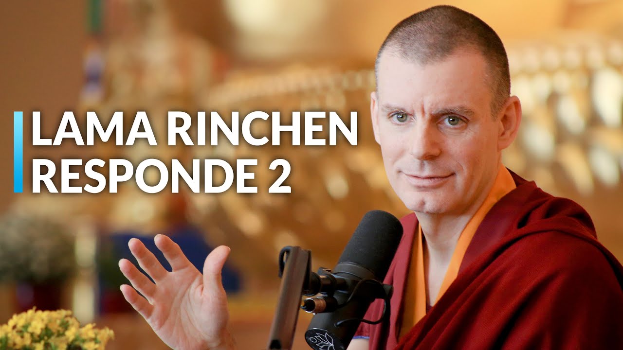 El Nido del Meditador | Sesión de Preguntas y Respuestas (2)