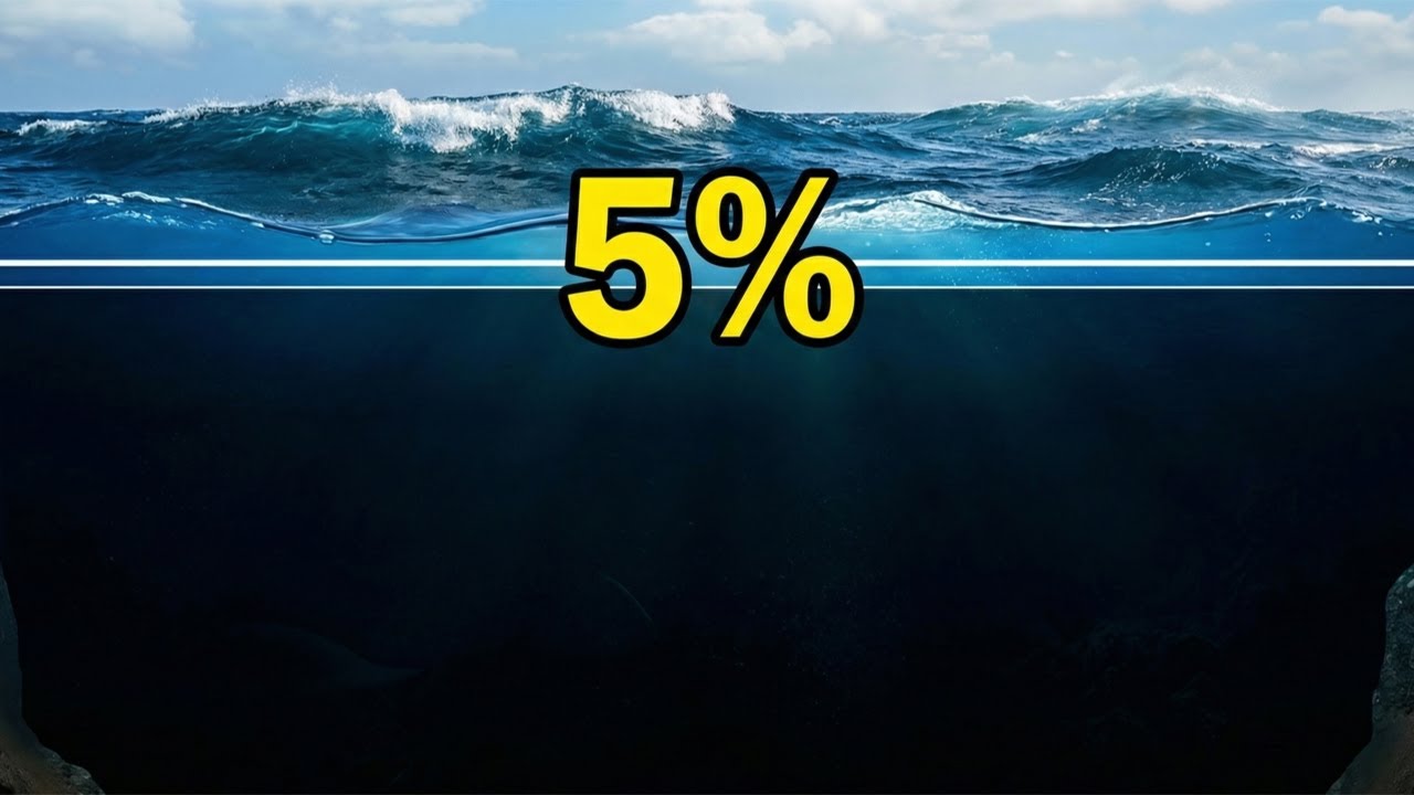 Les scientifiques n'ont exploré que 5 % des océans de la Terre jusqu'à présent