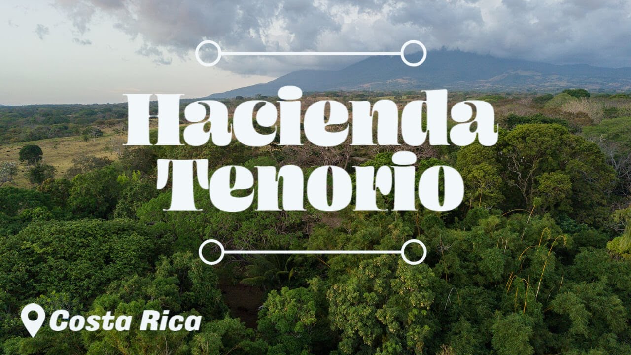 Hacienda Tenorio