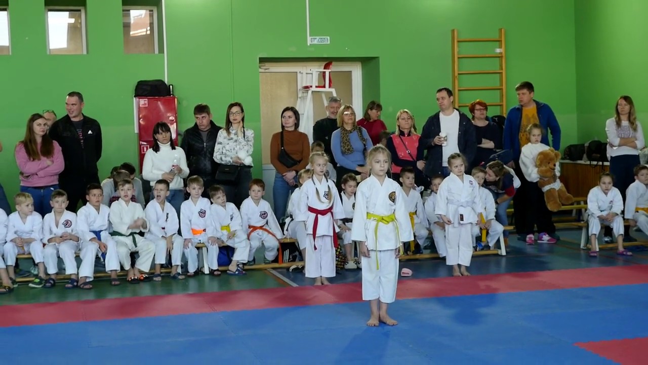 Shotokan karate. WKC karate competition. Kata. Каратэ шотокан. Соревнования по каратэ WKC. Ката.