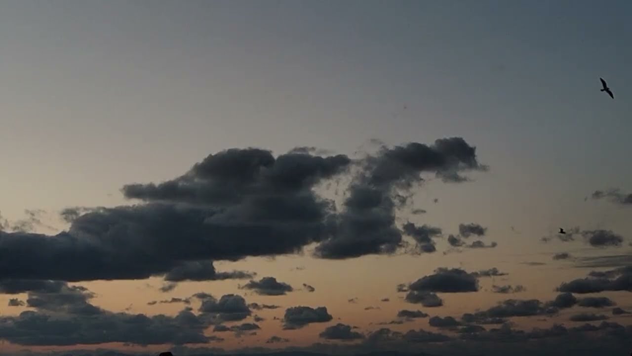 静かにゆっくりと今、ぜんぶ移り変わっている 30min