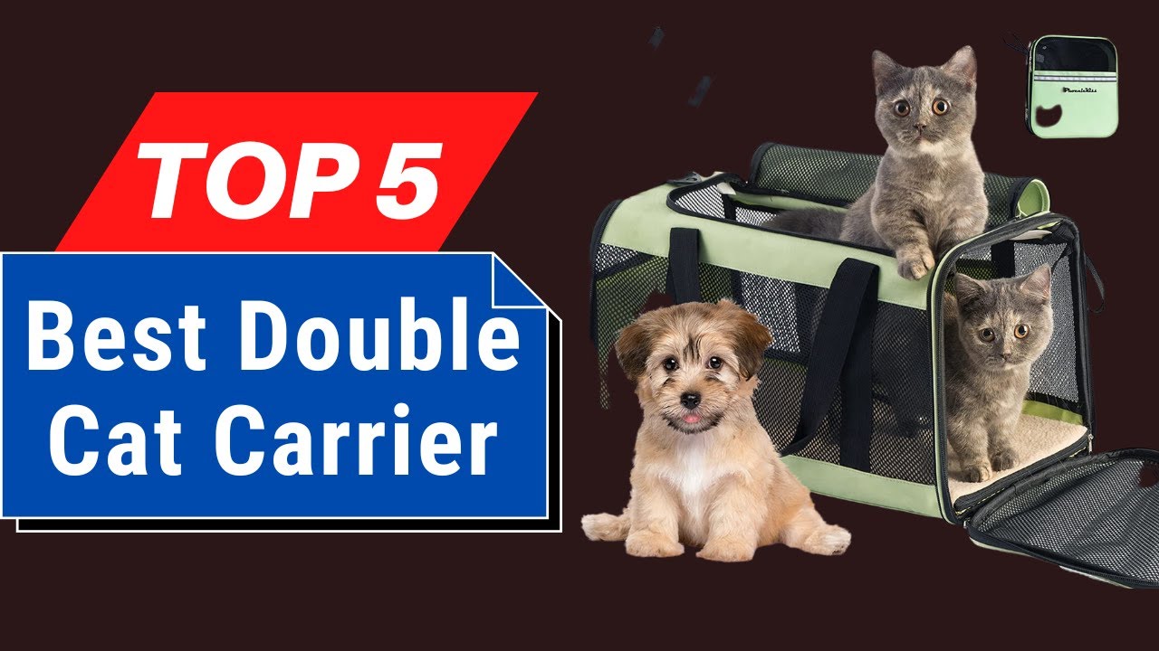 Top 5 Best Double Cat Carriers of 2026 [Buying Guide]