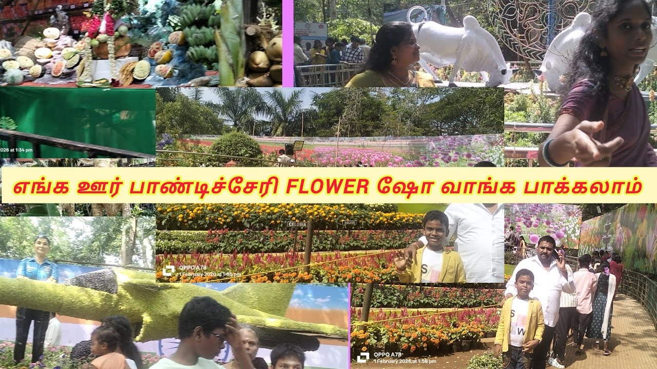 பாண்டிச்சேரி flower ஷோ 🤷‍♀️🤷‍♀️🤷‍♀️💐💐💐💐💐💐