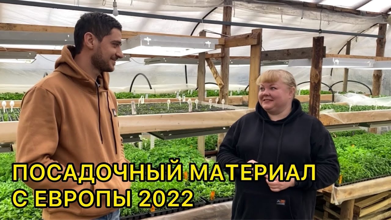 Где я беру новинки черенков вегетативных растений.