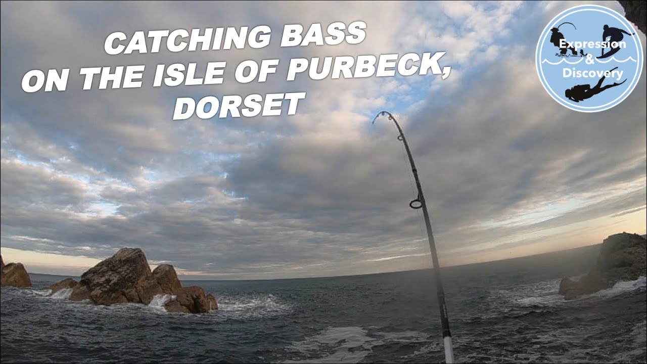 Lure fishing for Bass, Isle of Purbeck, Sep 2018