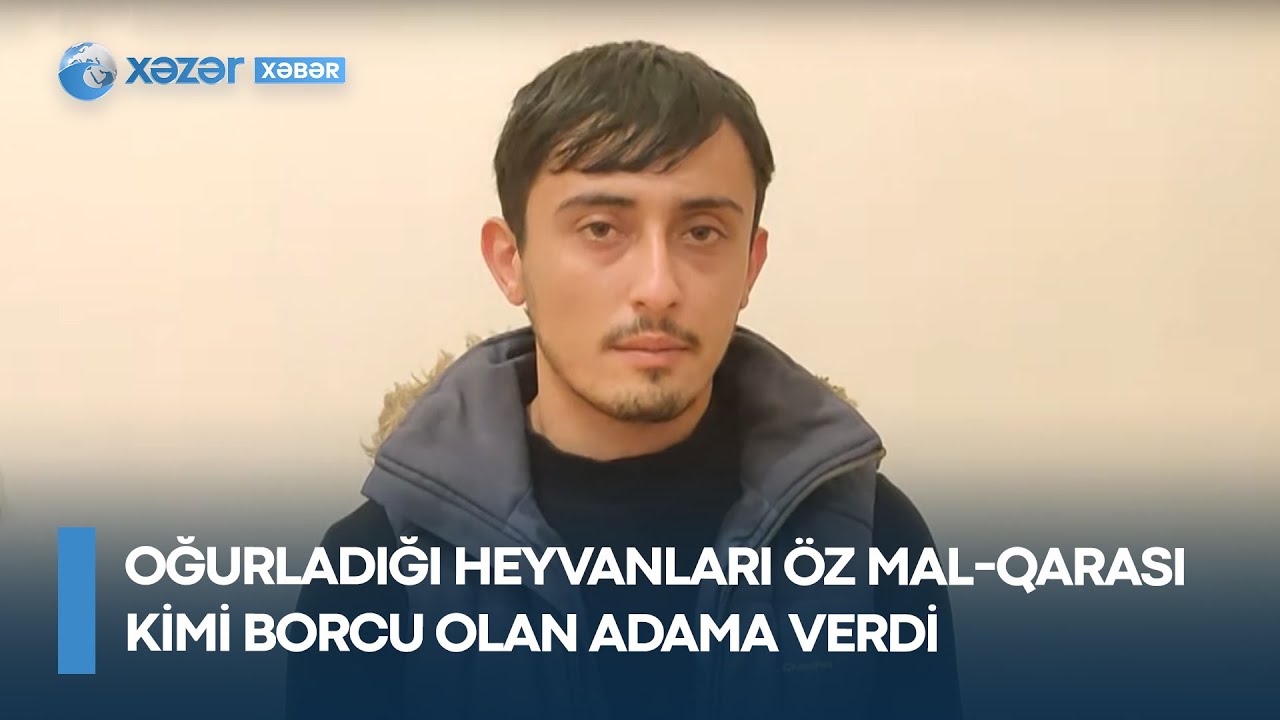 Oğurladığı heyvanları öz mal-qarası kimi borcu olan adama verdi
