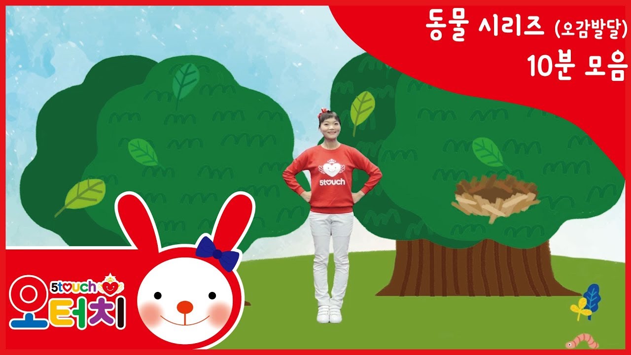 오터치 오감발달 -동물시리즈10분모음/오감발달/문화센터/아기문화센터/동요/5touch/악어/토끼/거북이/새/호랑이/고양이/나처럼해봐요/곰돌이의 겨울잠/다람쥐/펭귄/코끼리/원숭이/곰