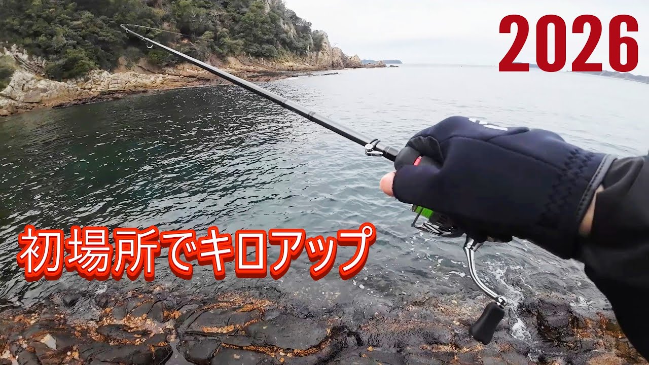 【エギング】2026年初のキロアップアオリイカ