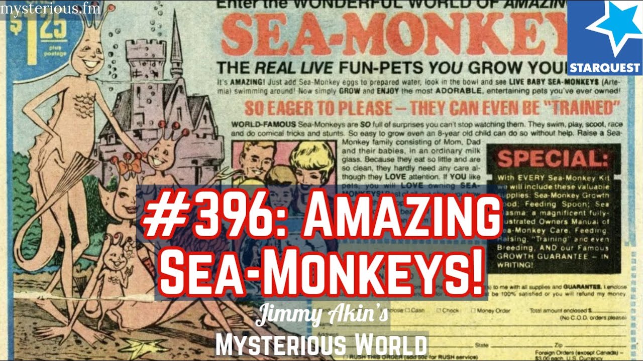 The Amazing Sea Monkeys! - Jimmy Akin's Mysterious World
