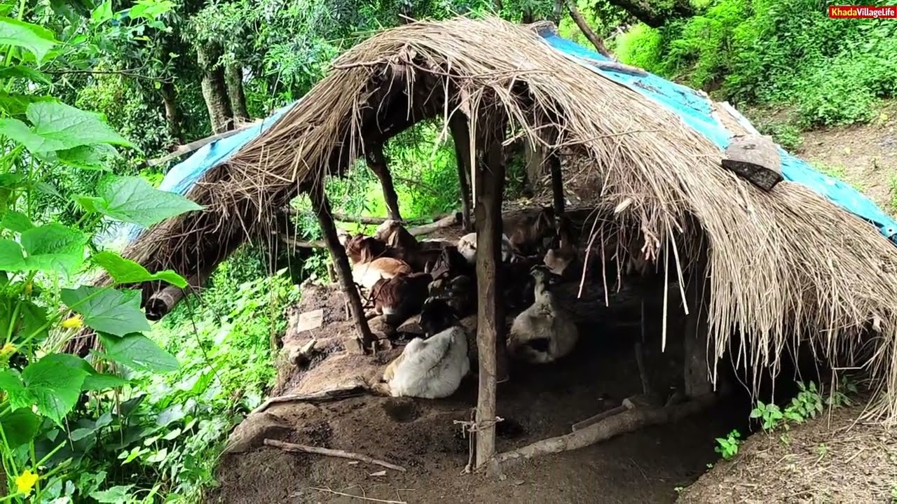 Real Nepali Mountain Village Life During the Rain || A Peaceful Rural Lifestyle Documentary Video |