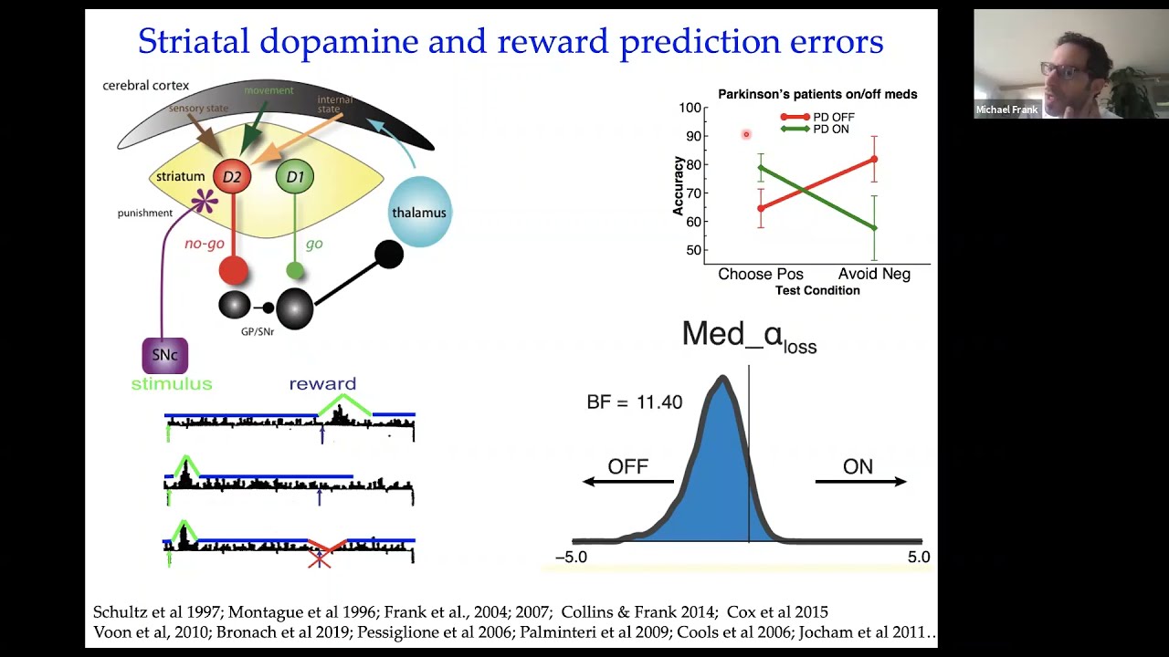 Striatal dopamine computations in learning about agency