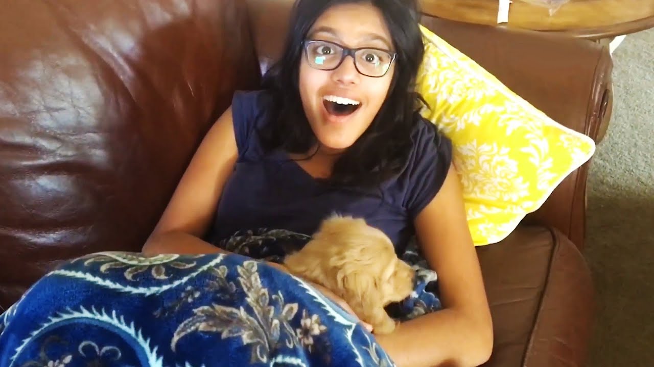 Welcome to the FAMILY! 🥹🐶 | Heartwarming PUPPY SURPRISE Compilation | Peachy 2023