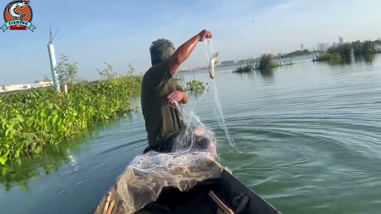 Fishing life by the lake #fishing #rural #fish #relaxing #net 