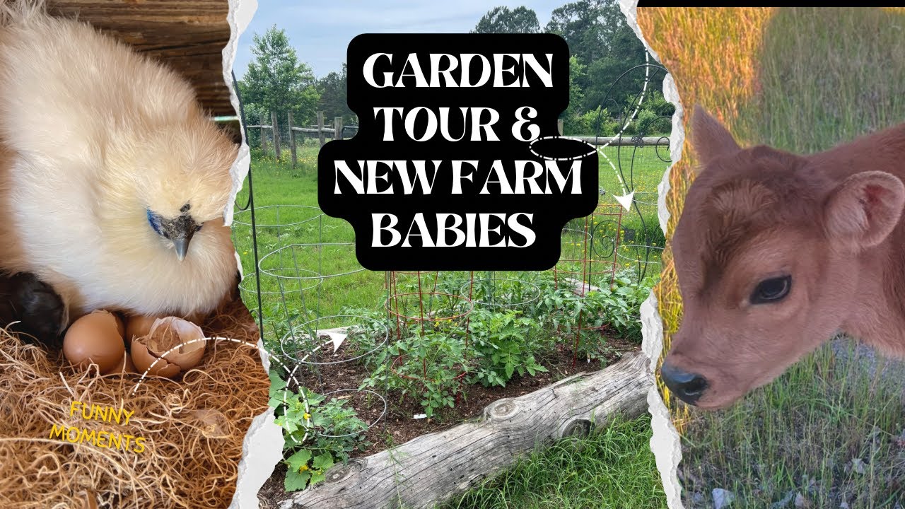 2025 Spring Garden Tour and Homestead Update