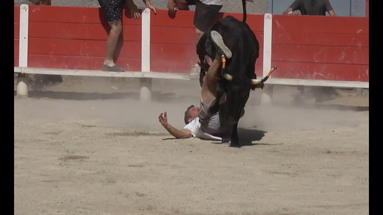 Garons ▶toro piscine◀ 25.06.2023 